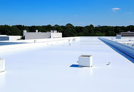 TPO roof example